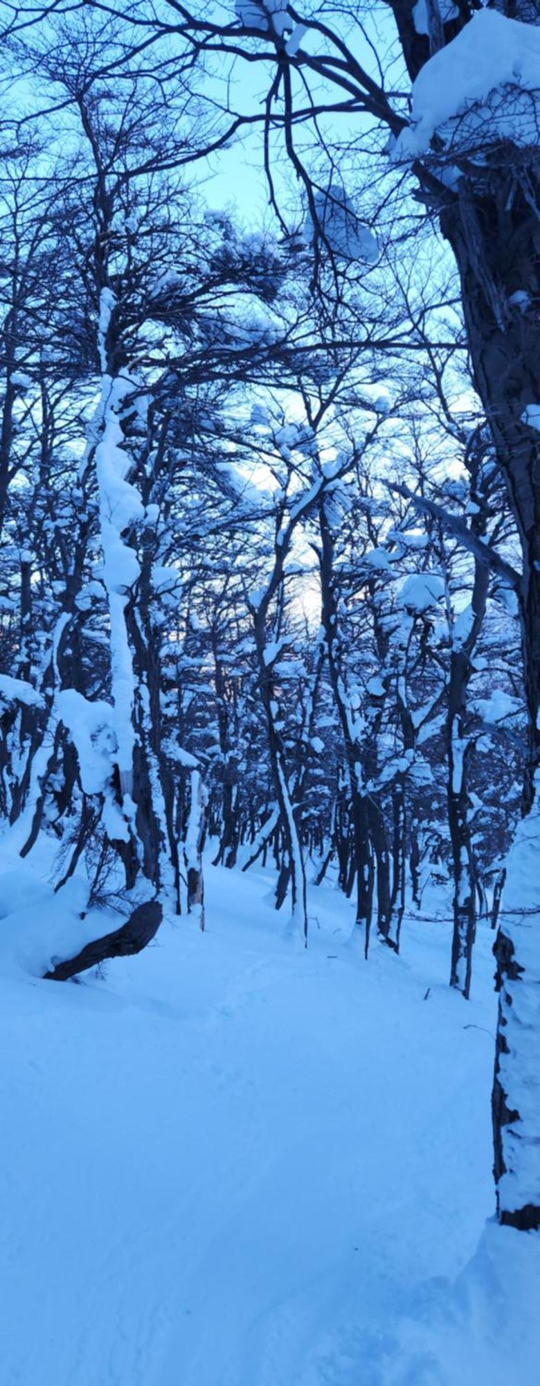 Valle Florido 1 เตรเวลิน ภายนอก รูปภาพ